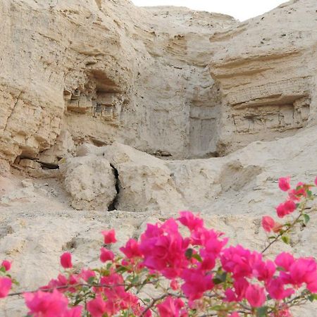 Dead Sea Dawn Villa Neot HaKikar Eksteriør bilde