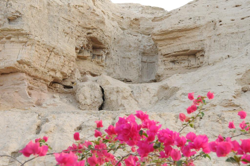 Dead Sea Dawn Villa Neot HaKikar Eksteriør bilde